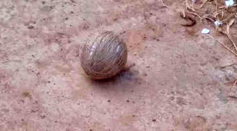 Bomb recovered from two house in Nalhati just before election