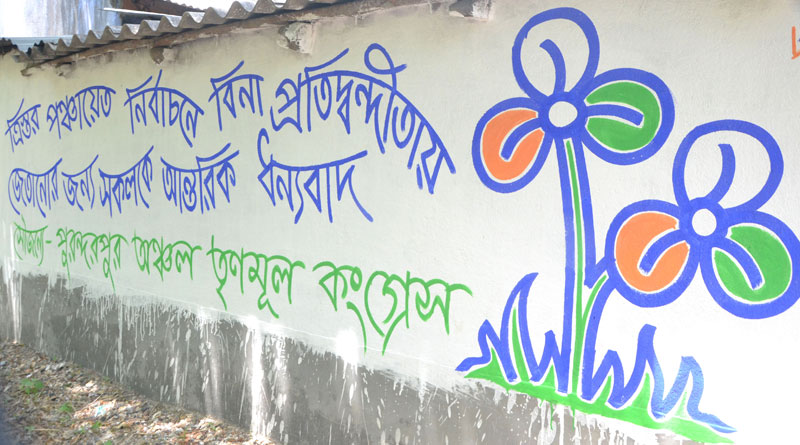 পঞ্চায়েতে ‘জয়ী’র নামে দেওয়াল লিখন তৃণমূলের, হাই কোর্টের রায়ে বাড়ল জটিলতা