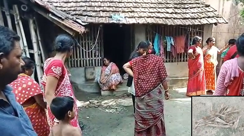 বল ভেবে বোমা কুড়িয়ে খেলতে গিয়ে বিস্ফোরণ, হাত উড়ল শিশুকন্যার