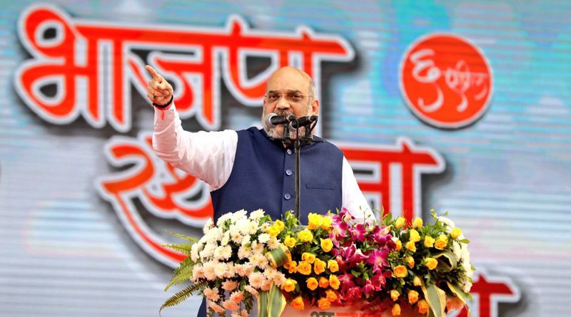 বিরোধীদের সঙ্গে পশুর তুলনা টেনে বিতর্কে অমিত শাহ, পালটা আক্রমণে তৃণমূল
