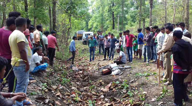 ডুয়ার্সে হাতির হানায় মৃত ১, বাইসনের তাণ্ডবে জখম ৩