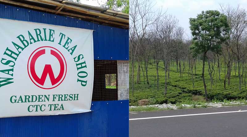 First tea kishoke opened in Malbazar