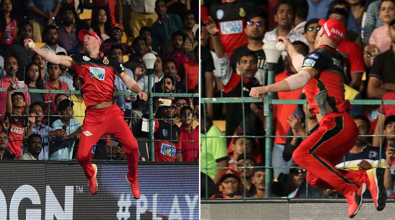 IPL: AB de Villiers amazing catch against SRH stuns fans