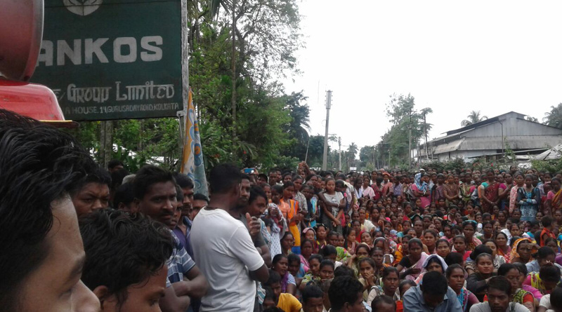 WB panchayat polls: Alipurduar Tea garden workers protest against rigging