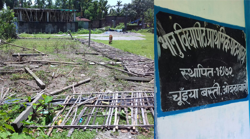 স্কুলের সবজি বাগান তছনছের অভিযোগ জয়ী নির্দল প্রার্থীর বিরদ্ধে, সরগরম মালবাজার