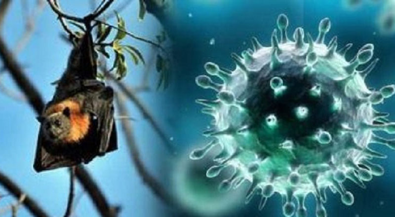 Murshidabad youth admitted in hospital with Nipah like syndrome