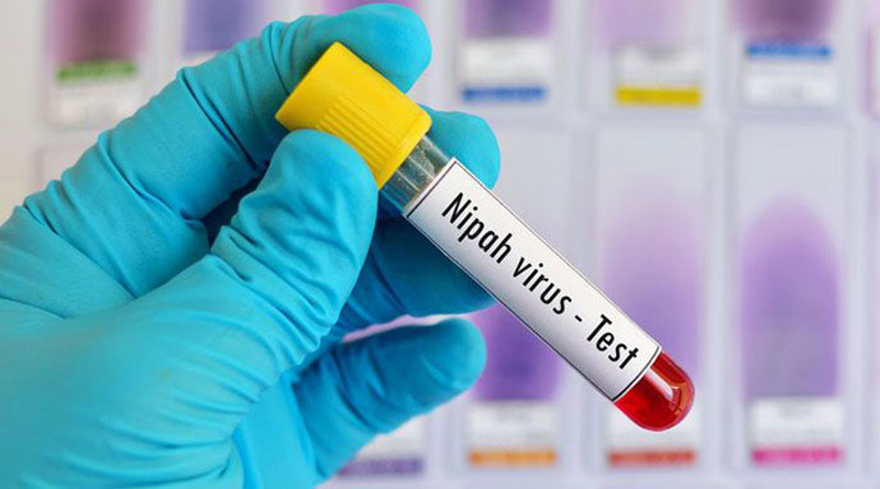 Nipah virus cases confirmed in Kerala। Sangbad Pratidin