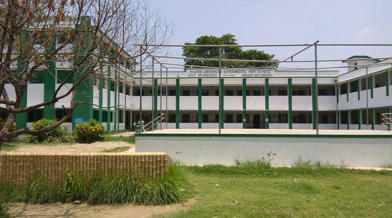 পড়ুয়াকে হাত-পা বেঁধে গর্তে ফেলে দেওয়ার অভিযোগ সহপাঠীদের বিরুদ্ধে
