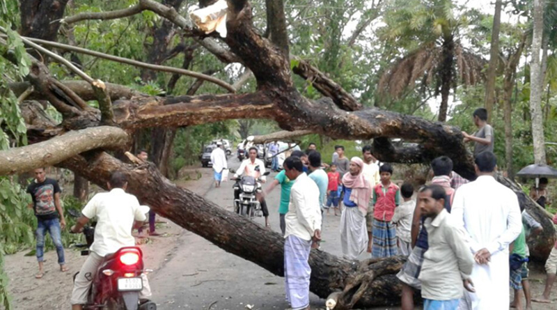 ঝড়ে দেশজুড়ে বাড়ছে মৃত্যুর সংখ্যা, ৭২ ঘণ্টার জন্য সতর্কবার্তা জারি মৌসম ভবনের