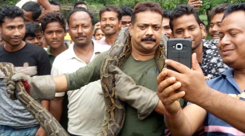অজগরের সঙ্গে সেলফির আবদার বাসিন্দাদের, মরতে মরতে বাঁচলেন বনকর্তা