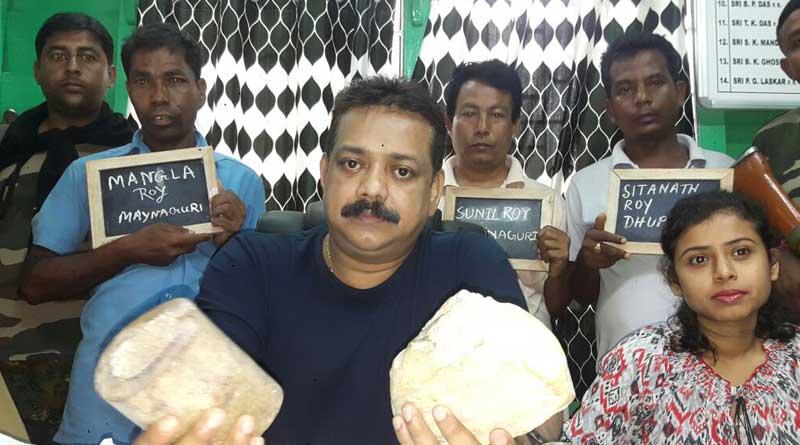 Jalpaiguri: Forest department foils attempt to smuggle elephant teeth, 4 held