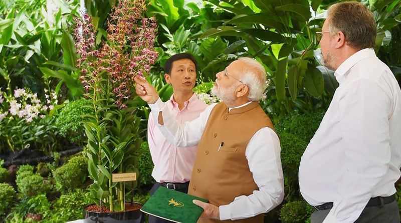 Singapore: An orchid of National Orchid Garden was named after PM Narendra Modi 