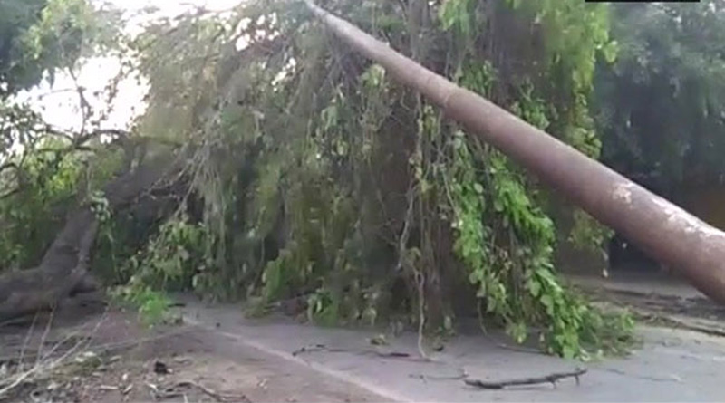ফের ঝড়ের তাণ্ডব গো-বলয়ে, উত্তরপ্রদেশে মৃত ৭