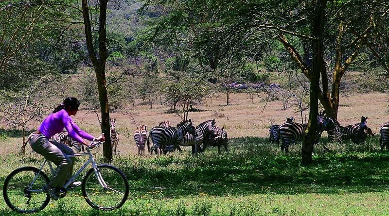 West Bengal Tourist Depertment to start Bycycle Safari