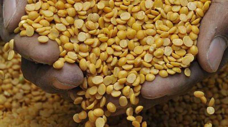 Agricultur dept to boost pulse production