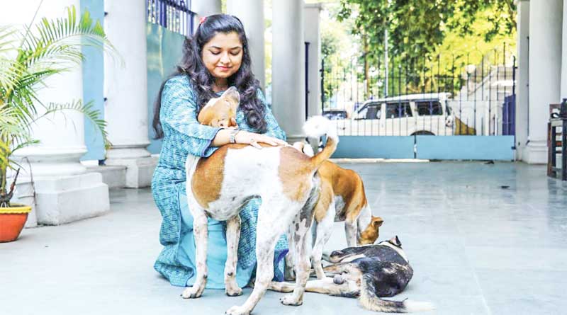 পথ কুকুরের সেবায় মগ্ন মুর্শিদাবাদের জেলাশাসকের স্ত্রী
