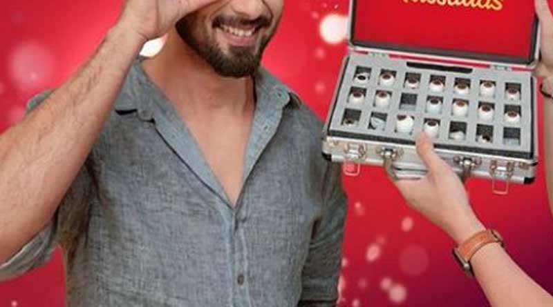 Now Shahid Kapoor to get wax statue at Madame Tussauds