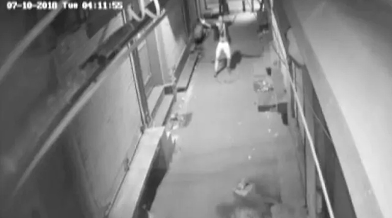 Delhi: thief's dance caught on camera before theft