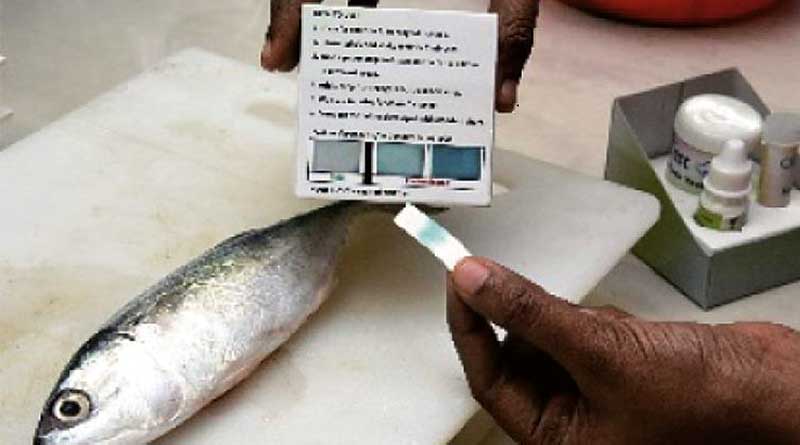 This Kit, developed by Indian Scientists, will detect formalin in fish