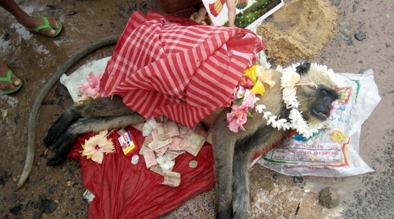 রামের পাশেই রহিম, মৃত হনুমানের সমাধি তৈরিতে এগিয়ে এলেন মুসলিমরাও