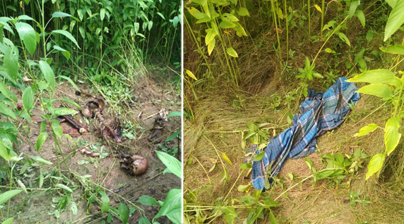 পাটখেতে উদ্ধার কঙ্কাল, চাঞ্চল্য তপনে