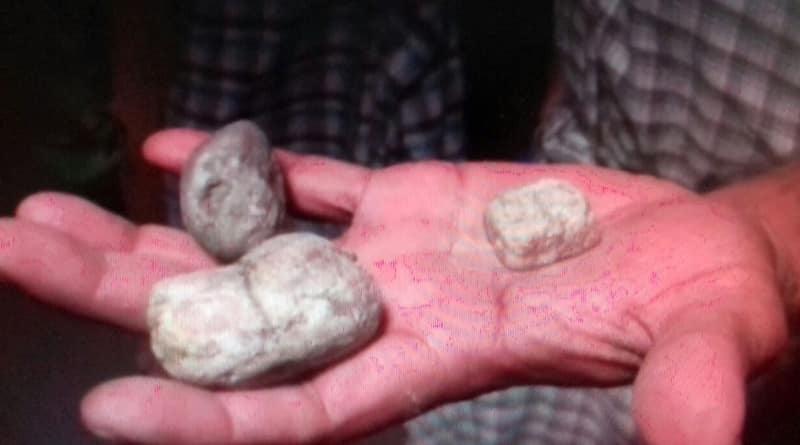 ‘Ghost’ stone pelters spark panic in Dooars village