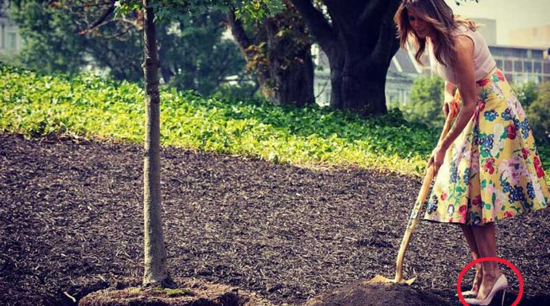 চার ইঞ্চি হিল পরে বাগানে মাটি খুঁড়ছেন মেলানিয়া, নেটদুনিয়ায় শোরগোল