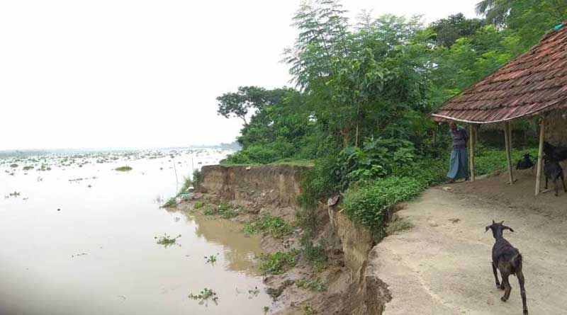 ‘ভাগীরথীতে তলিয়ে যাব না তো?’ প্রমাদ গুনছেন নদিয়ার ৭ গ্রামের বাসিন্দারা