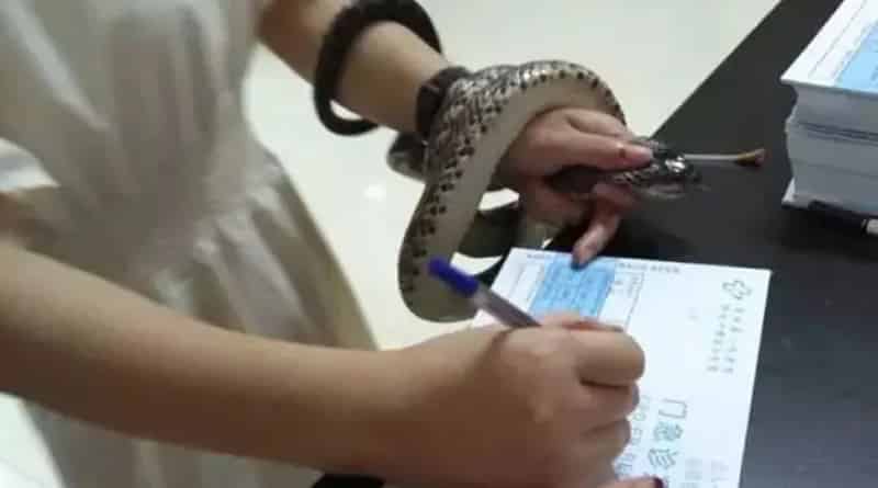 After snake bitten China woman goes hospital with it
