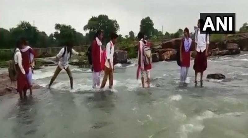 ব্রিজ নেই, প্রাণ হাতে করে খরস্রোতা নদী পেরিয়েই স্কুলের পথে পড়ুয়ারা