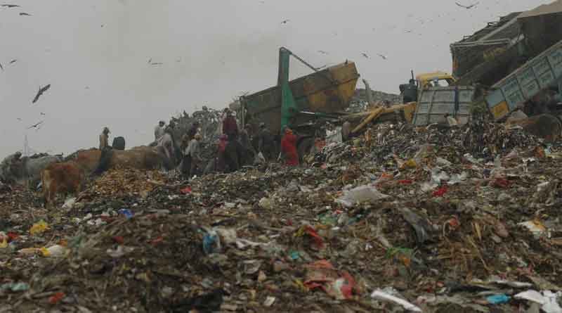Delhi reels under massive garbage heap