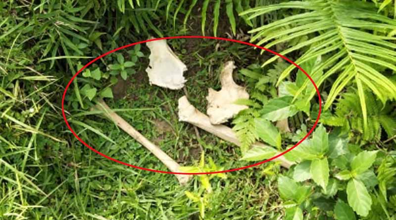 গর্তের ভিতর কার কঙ্কাল? নজর পড়তেই চক্ষু চড়কগাছ শিশুদের