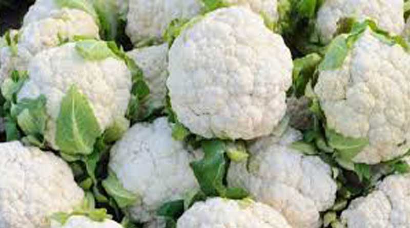 Murshidabad witnesses record Cauliflower cullection