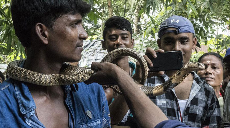 সাপের ভয় দেখিয়ে ছিনতাই, নতুন চক্র কলকাতায়