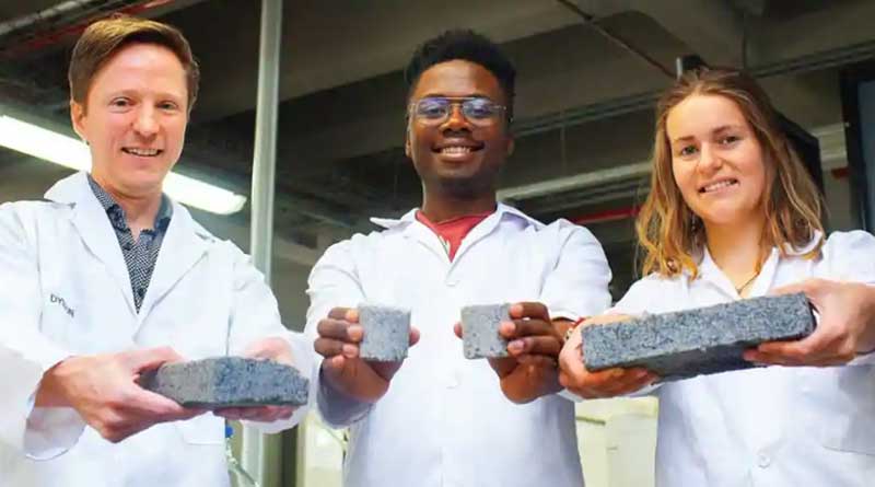 World’s first bio-brick grown from human urine in South Africa