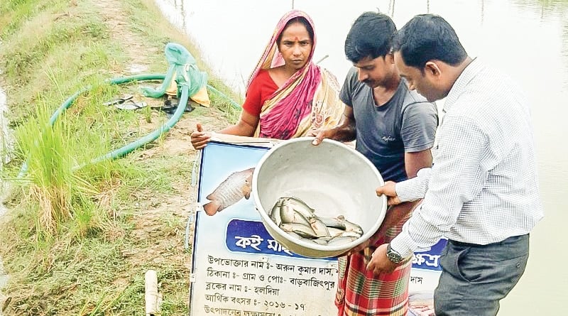Cultivation of this rare fish making Haldia fisherman's laugh