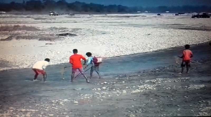 ইলেকট্রিক শক দিয়ে মাছ শিকার, ডুয়ার্সে বিপন্ন নদীর বাস্তুতন্ত্র