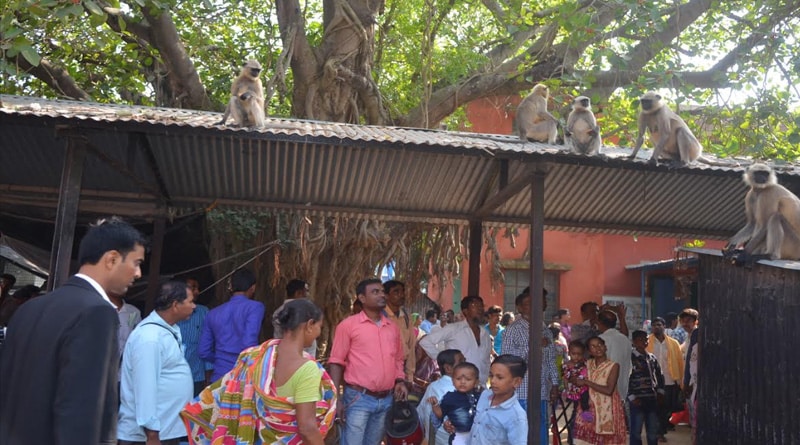 একমাস বন্ধ ছিল আদালত, সেই সুযোগে রাজত্ব শুরু রামভক্তদের