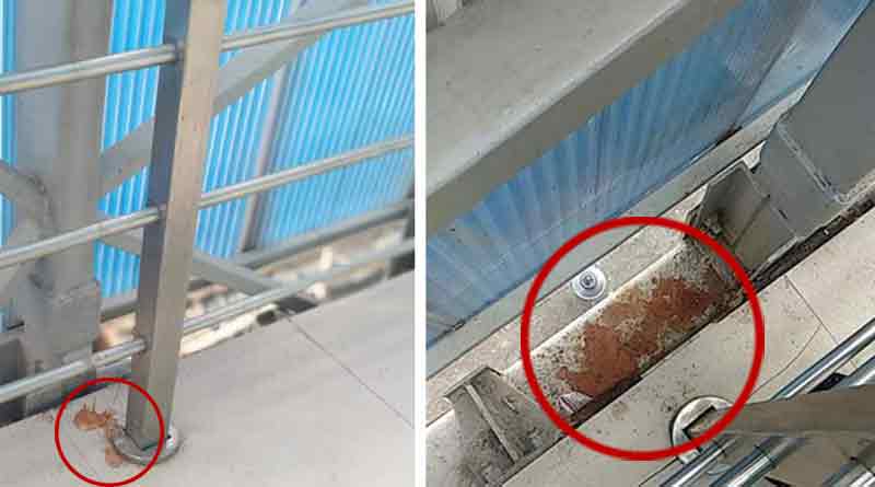 যেখানে সেখানে থুতু-পানের পিক ফেলা বন্ধে কমিটি গঠন মুখ্যমন্ত্রীর