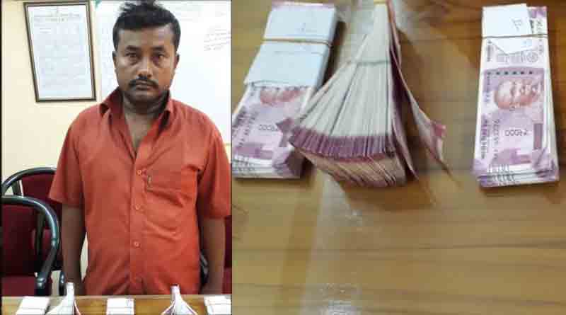 বিএসএফের জালে বাংলাদেশি গরু পাচারকারী, জেরায় মিলল চাঞ্চল্যকর তথ্য
