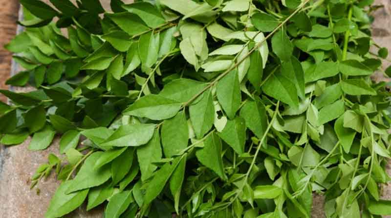 Curry Leaves Manage Blood Sugar Levels