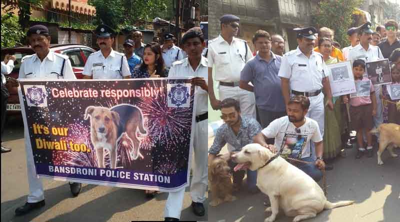 Diwali initiative for stray dogs 