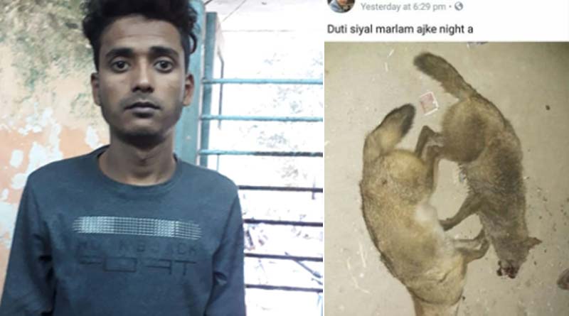 এক রাতে দু’টি শিয়ালকে হত্যা, ফেসবুকে ছবি দিয়ে বিপাকে যুবক