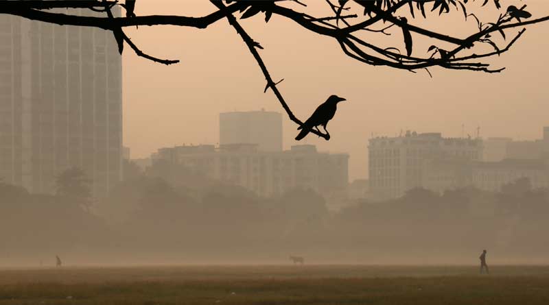 Mercury dips further in Kolkata, city feels the pinch