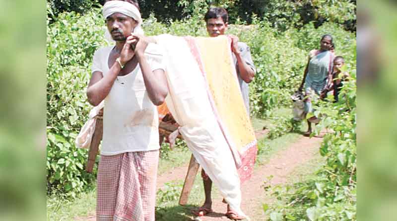 স্বাধীনতার সাত দশক পরও নেই রাস্তা, স্বাস্থ্যকেন্দ্রে পৌঁছাতে ডুলিই ভরসা রোগীদের