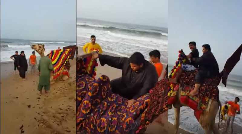 উটের পিঠে মরুভূমিতে ঘোরার শখ ‘ওজনদার’ ব্যক্তির, তারপর…