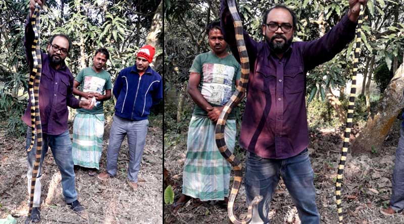 মৃত্যুর মুখ থেকে ফিরেই ফের সাপ উদ্ধারে ছুট পশুপ্রেমী চন্দনের