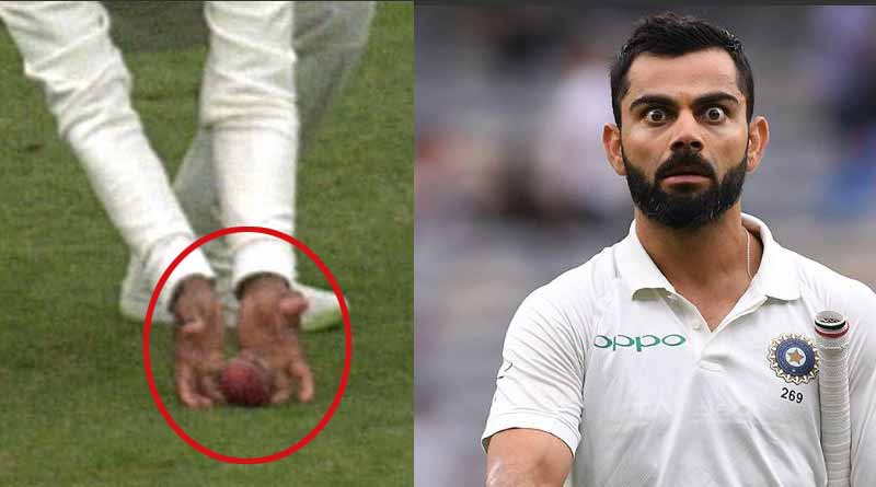 কোহলি কি আউট ছিলেন? জোর বিতর্ক ওয়াকায়