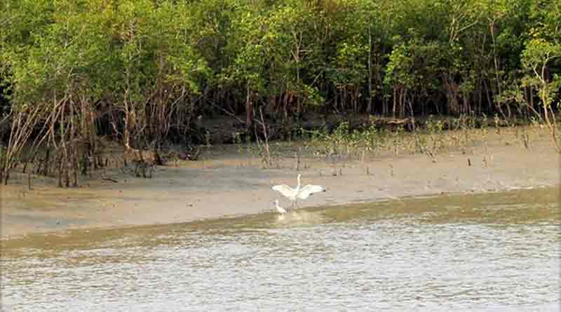 Two tourist spot near Sundarban