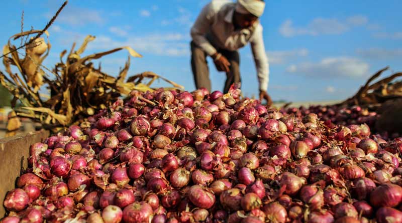 Farmer who travels 70 kms, for selling 512 kg onion, earns Rs. 2 | Sangbad Pratidin